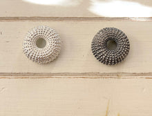Load image into Gallery viewer, Sea Urchin pendant