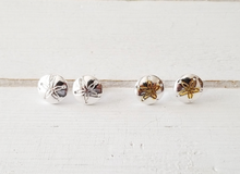 Load image into Gallery viewer, Sand dollar earrings