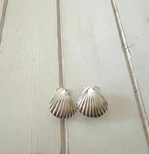 Scallop Shell Earrings ( medium)