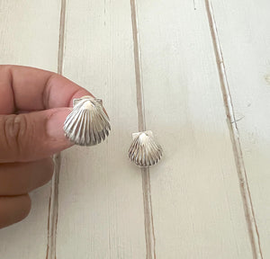 Scallop Shell Earrings ( medium)