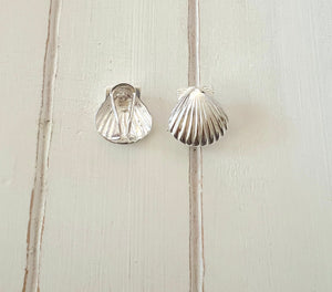 Scallop Shell Earrings ( medium)