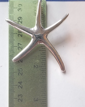 Load image into Gallery viewer, Starfish Pendant

