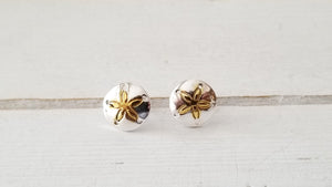 Sand dollar earrings