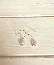 Load image into Gallery viewer, Sand Dollar earrings (small)
