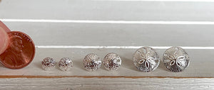 Sand Dollar earrings (small)