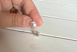 Sand Dollar earrings (medium)