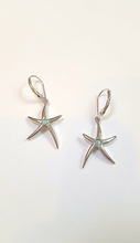 Load image into Gallery viewer, Starfish earring w. Larimar
